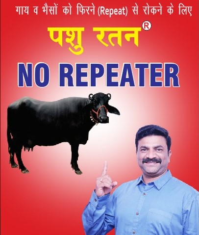 Pashu Ratan No Repeater Powder | Helps to Protect Cow & Buffalo from Repeating Problem After AI