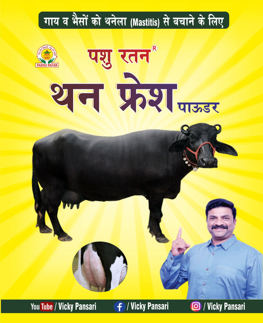 Pashu Ratan Than Fresh Powder | Protects in Thanela (Mastitis) disease of cow and buffalo