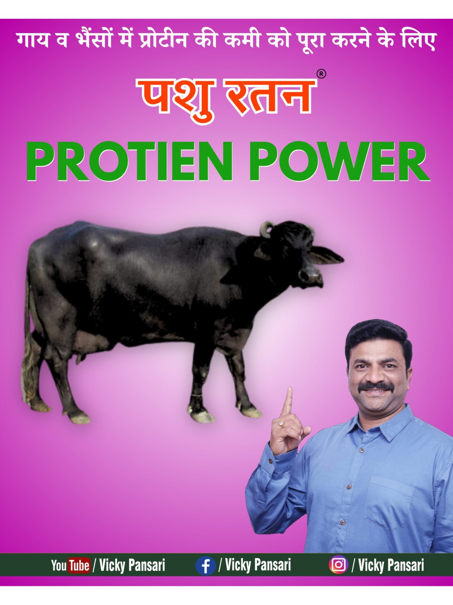 Home pashu ratan protein powder | boosts milk production in cows and buffaloes after delivery