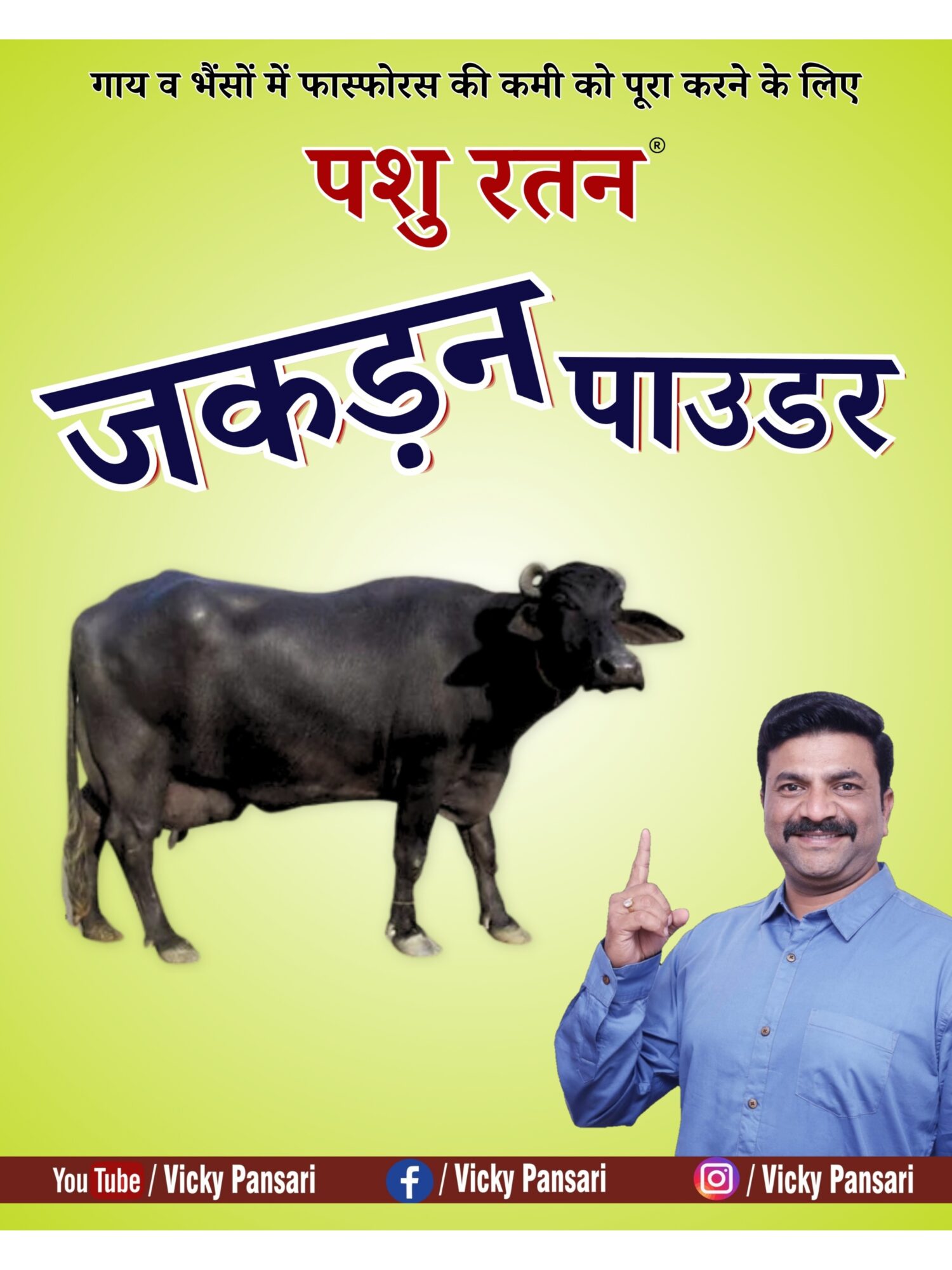 Home pashu ratan protein powder | boosts milk production in cows and buffaloes after delivery