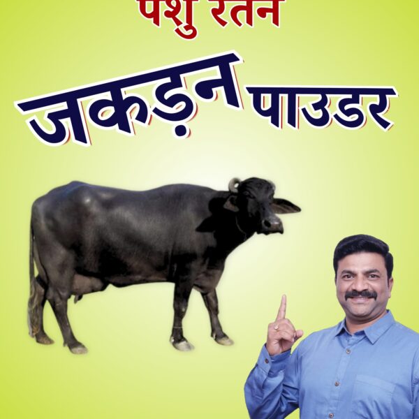 pashu ratan protein powder | boosts milk production in cows and buffaloes after delivery