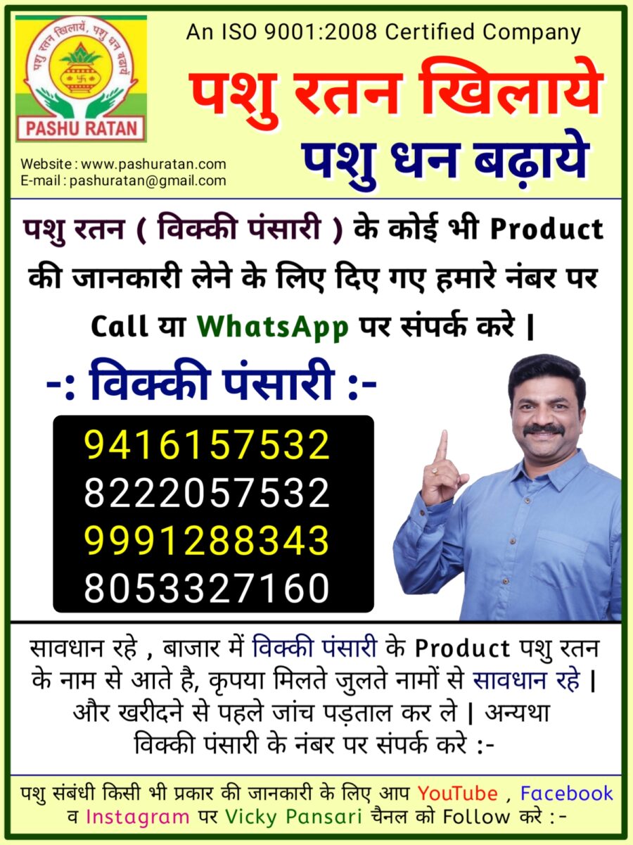 20240908 182434 900x1200