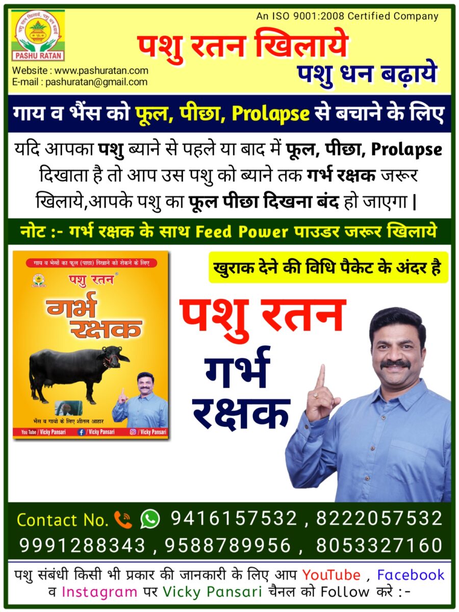 20240910 093058 900x1200