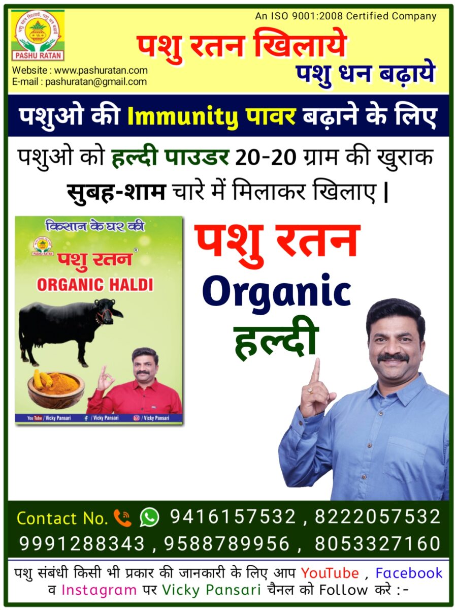 20240910 093425 900x1200