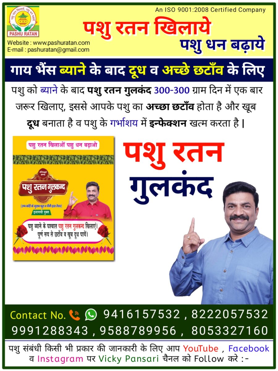 20240910 093509 900x1200