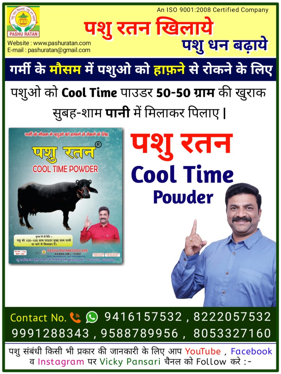 20240910 093906 900x1200