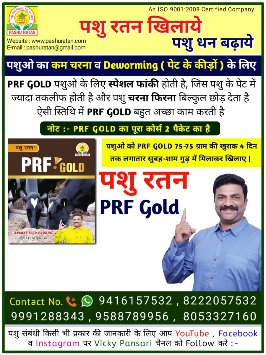 20240910 094108 900x1200