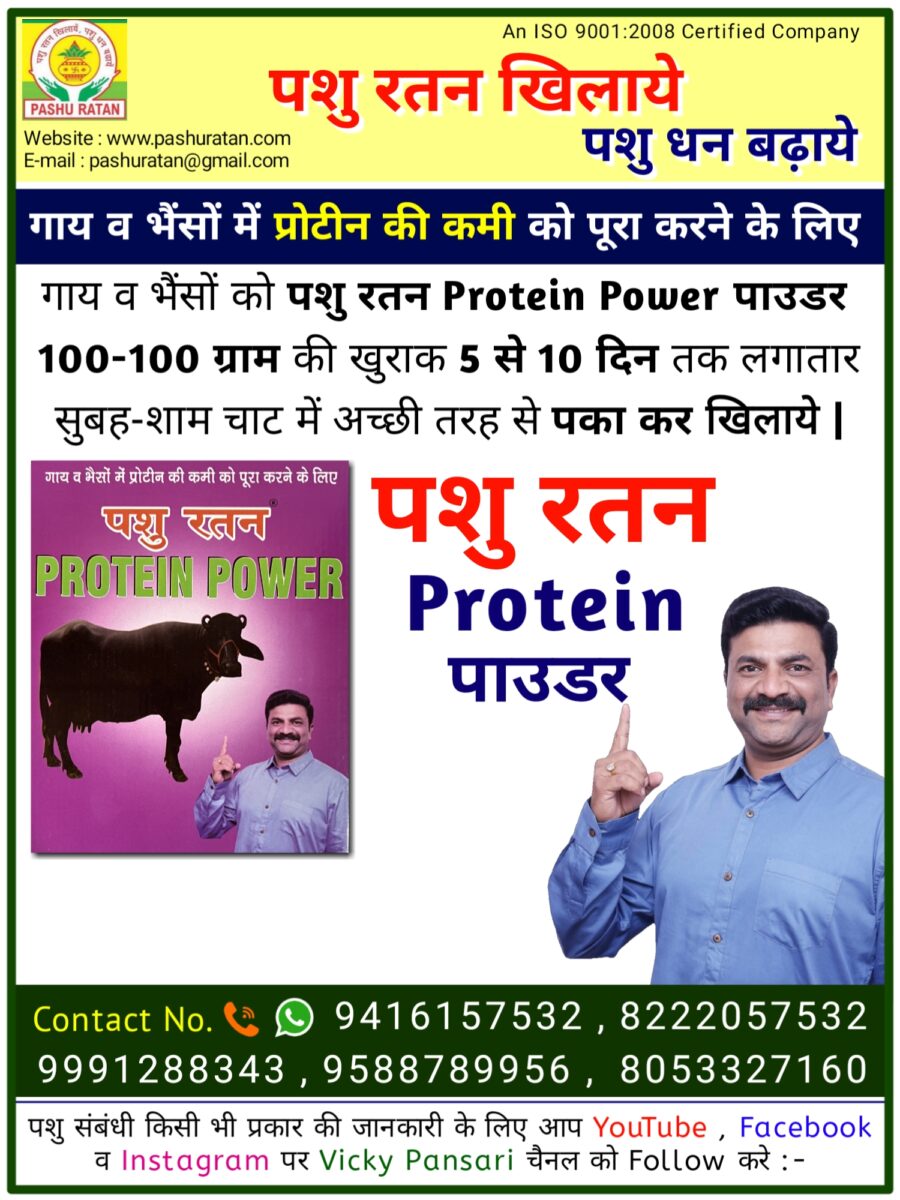 20240910 094301 900x1200