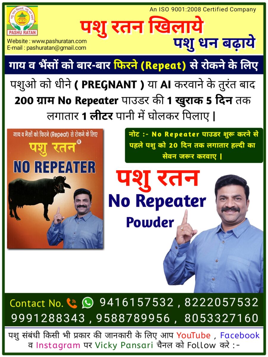 20240910 094335 900x1200