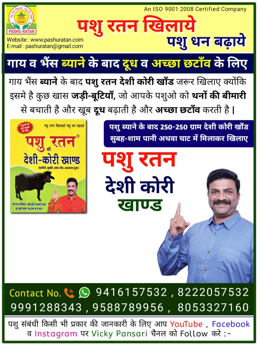 20240910 094420 900x1200