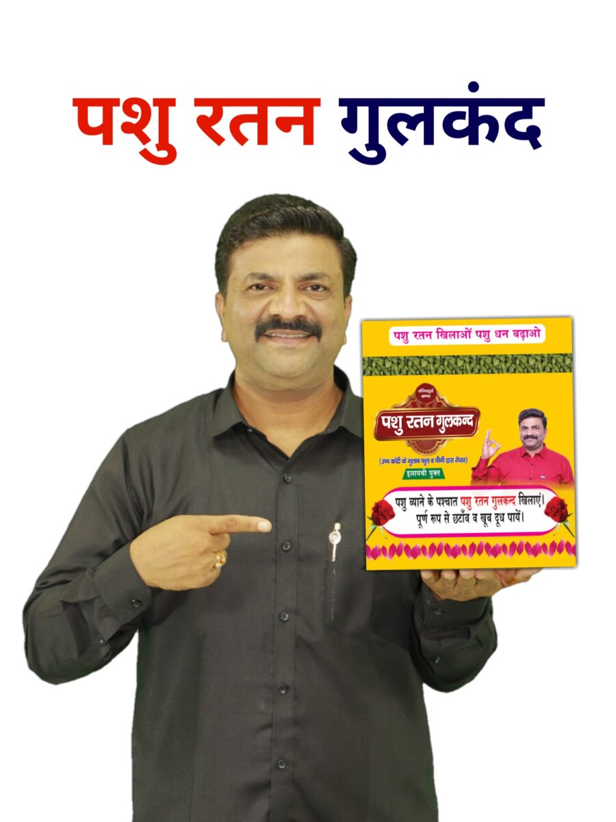 20241026 144034 900x1200