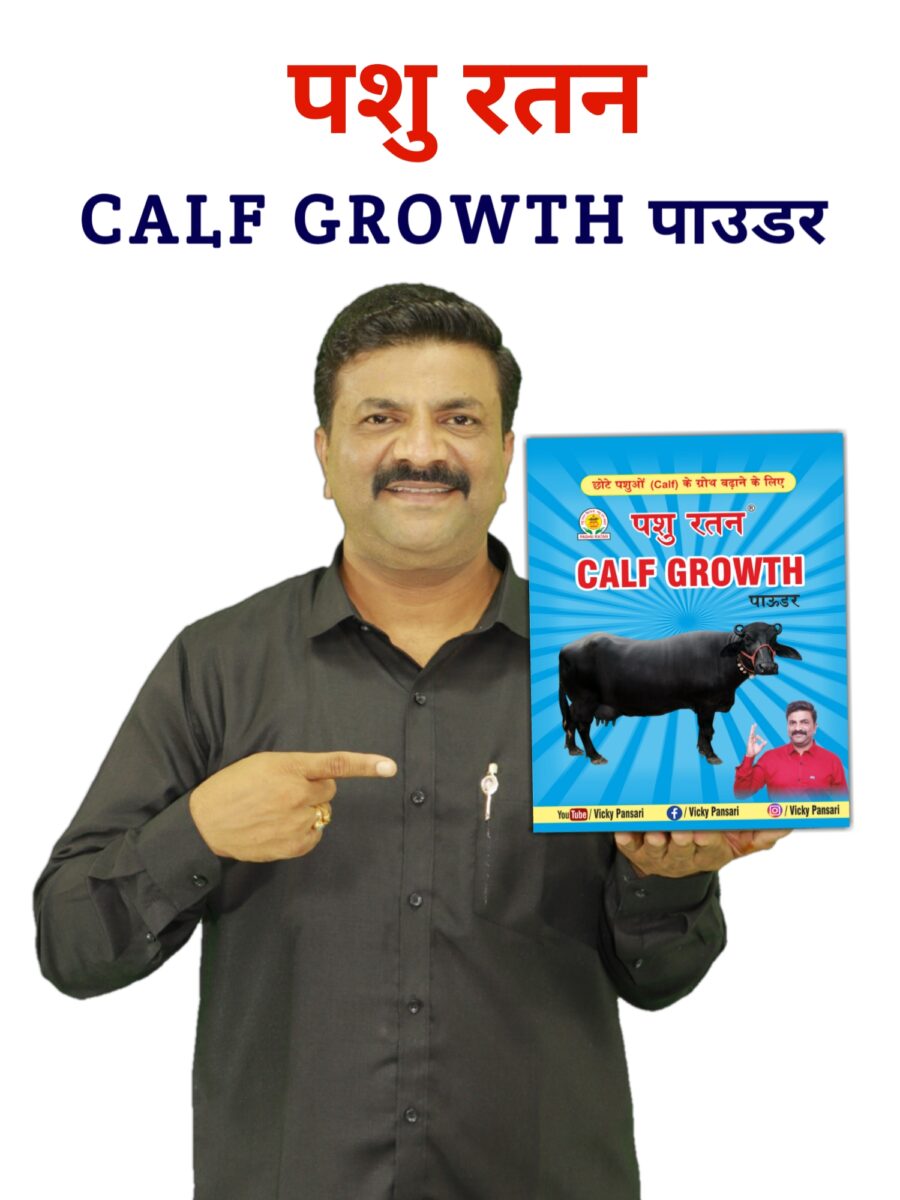 20241026 144429 900x1200