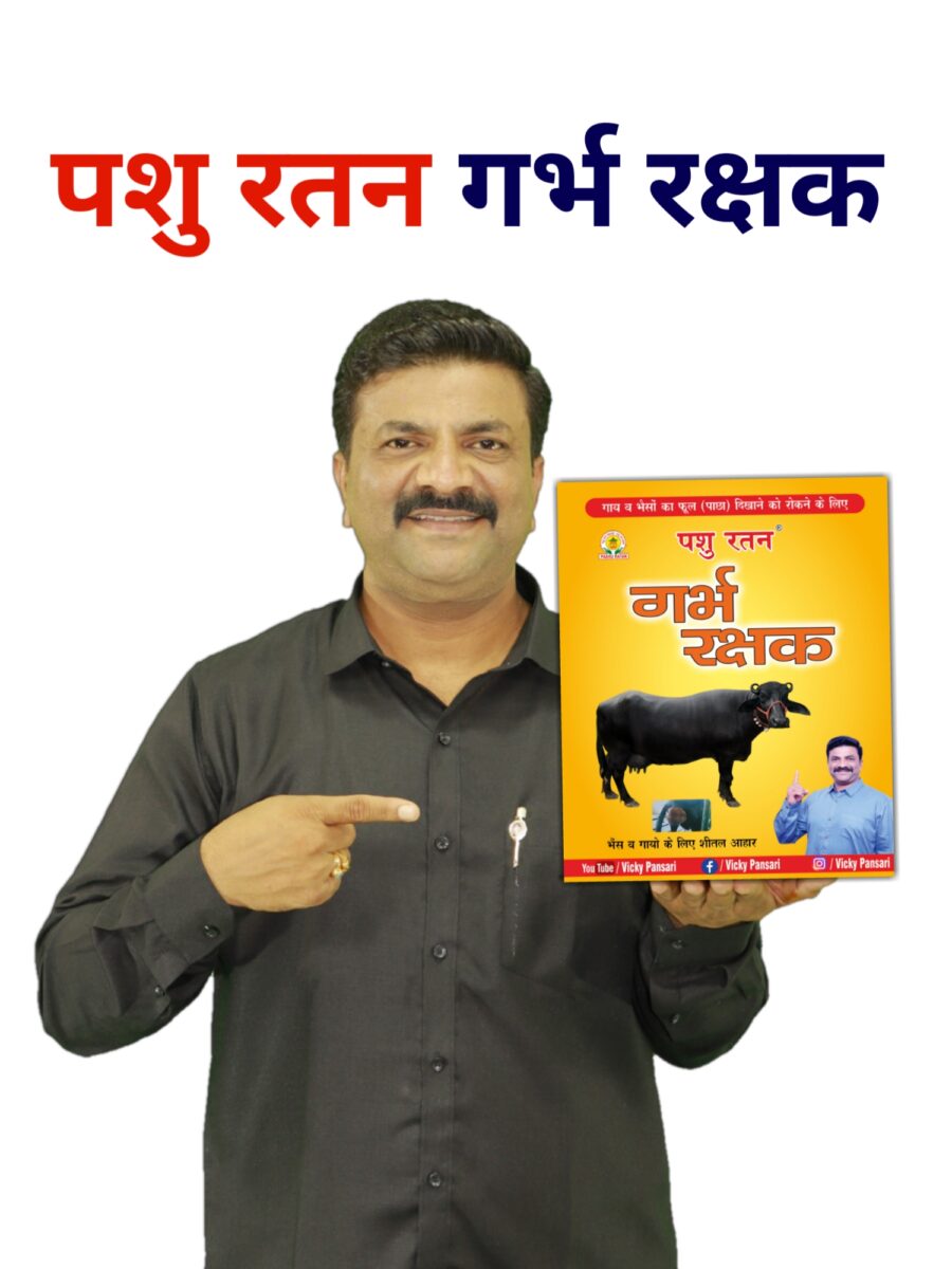 20241026 144743 900x1200