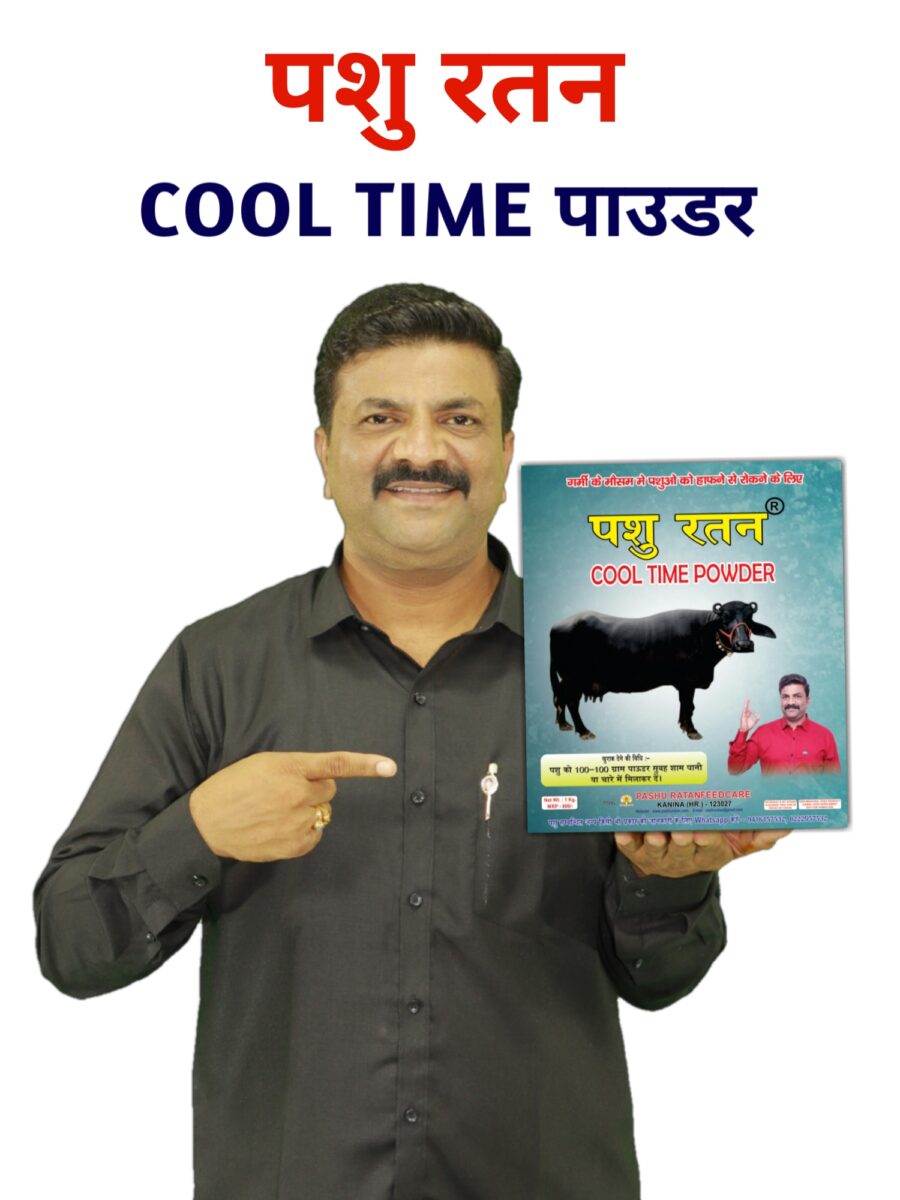 20241026 145107 900x1200