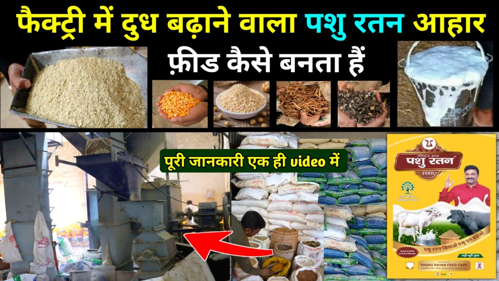 20250511 135647 20250511 135647