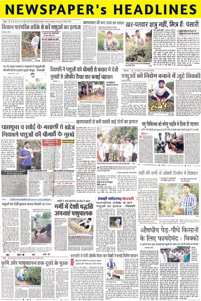 20250518 203107 20250518 203107