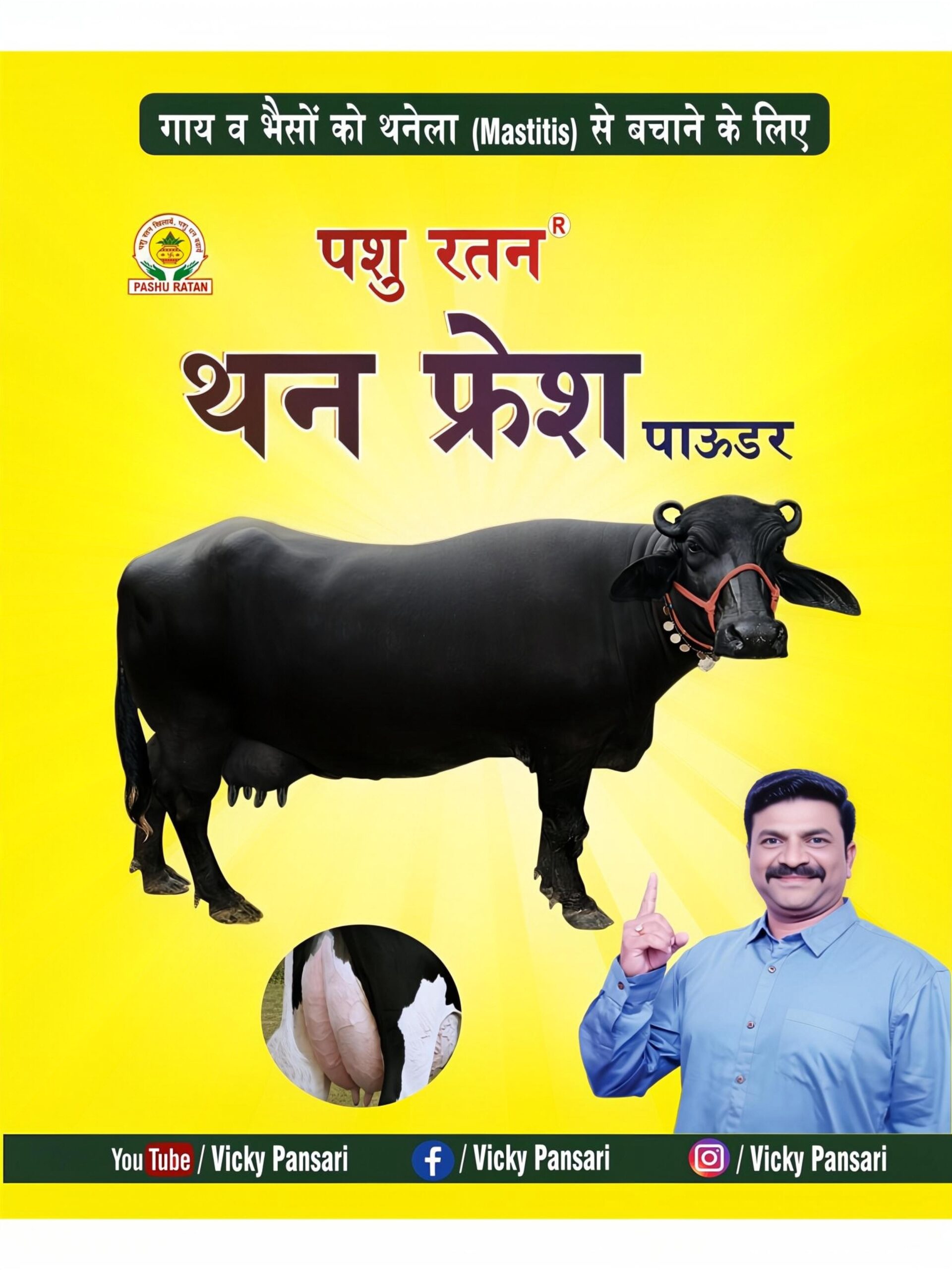 pashu-ratan-than-fresh-powder-protects-in-thanela-mastitis-disease-of-cow-and-buffalo
