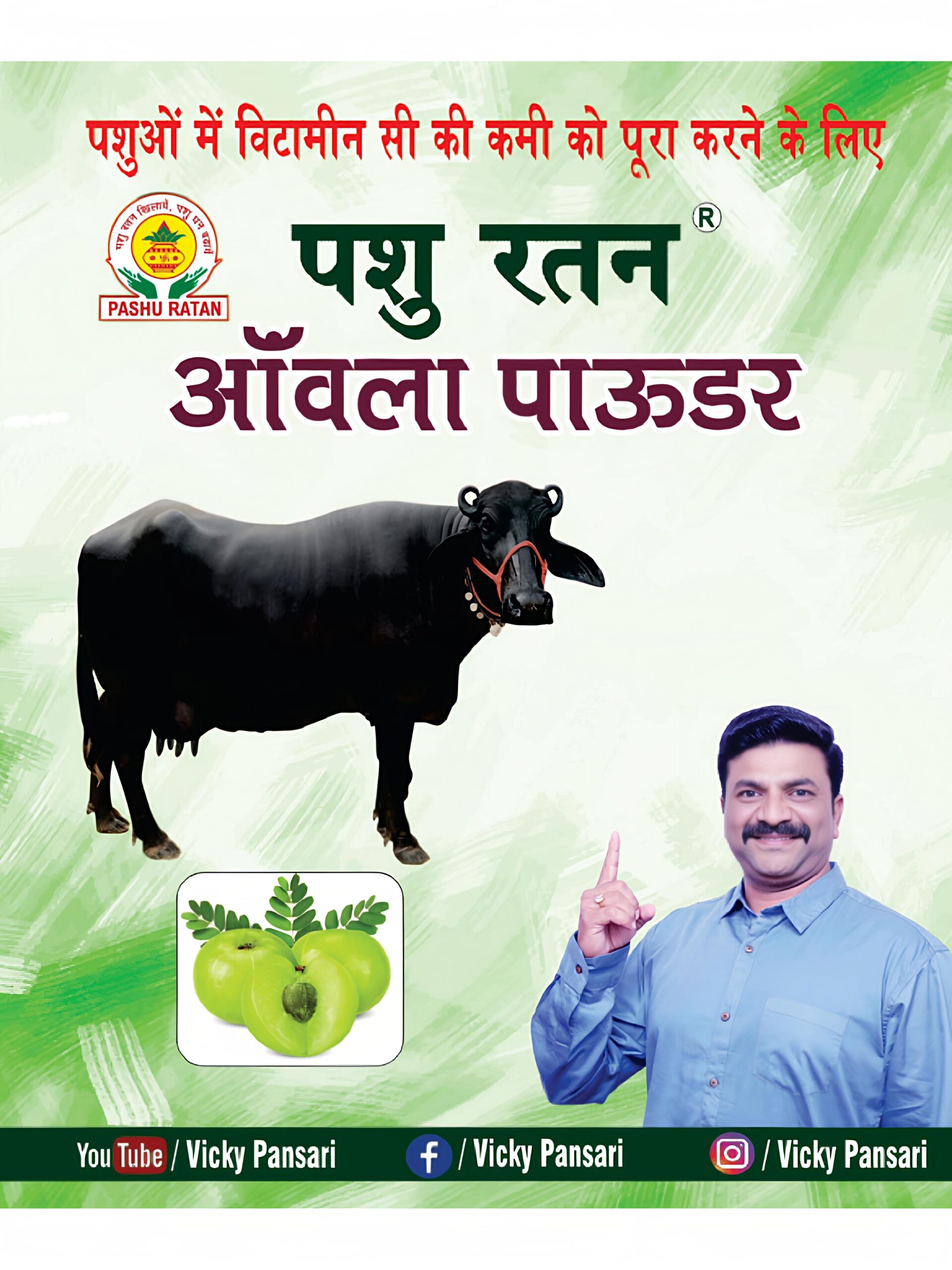 pashu-ratan-amla-powder-boosts-vitamin-c-protects-from-infections-in-cattles