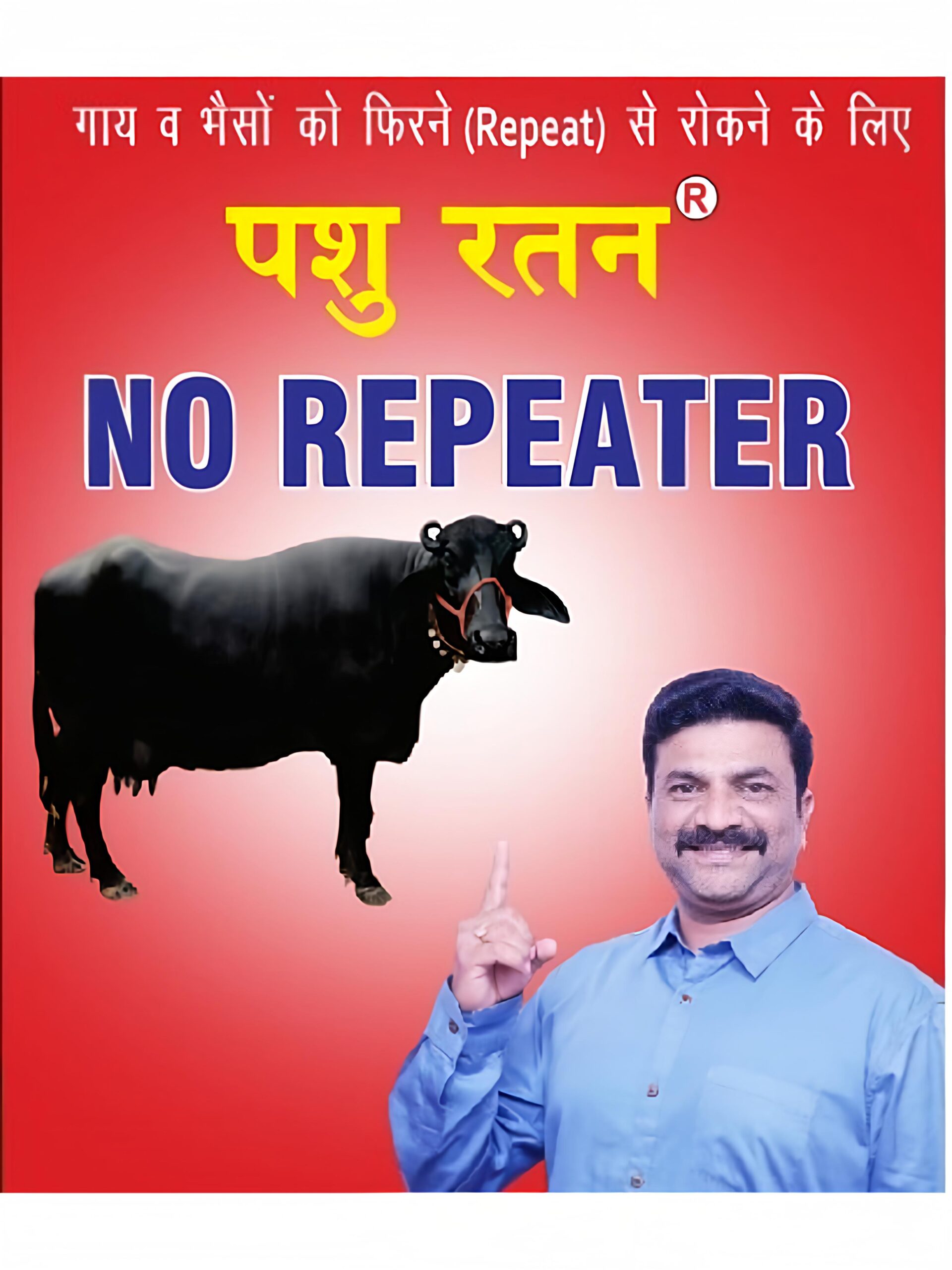 pashu-ratan-no-repeater-powder-helps-to-protect-cow-buffalo-from-repeating-problem-after-ai