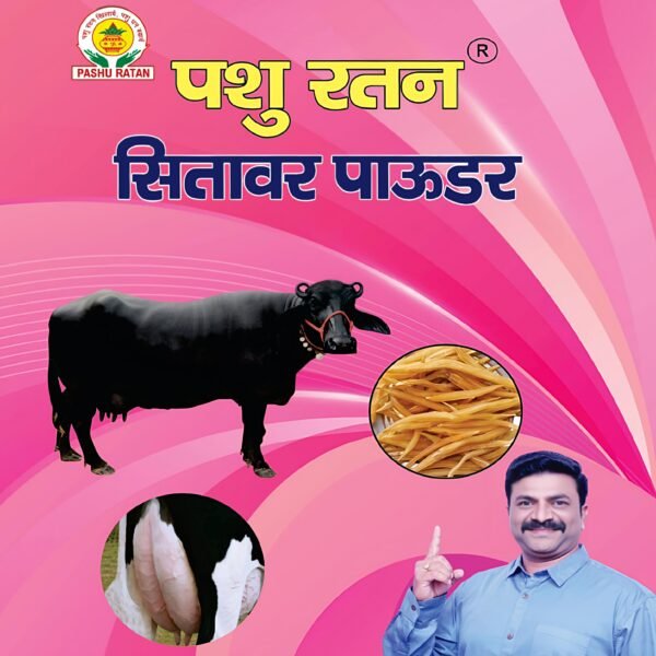 pashu-ratan-sitawer-powder-helps-in-milk-increase-of-cow-buffalo-after-delivery