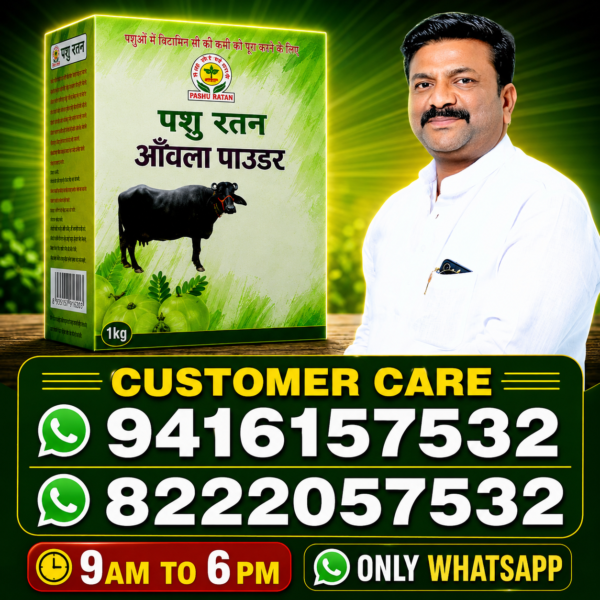 pashu ratan amla powder | boosts vitamin c & protects from infections in cattles