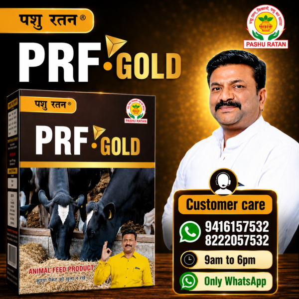 pashu ratan prf gold | helps in digestion & hajma for dairy animals