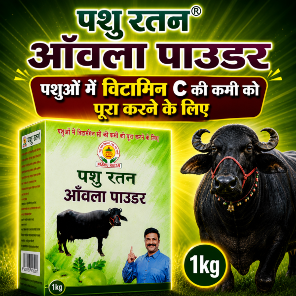 pashu ratan amla powder | boosts vitamin c & protects from infections in cattles