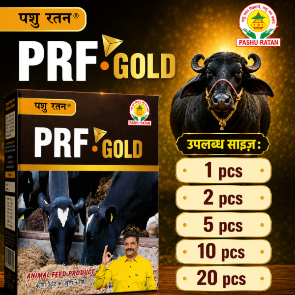 pashu ratan prf gold | helps in digestion & hajma for dairy animals