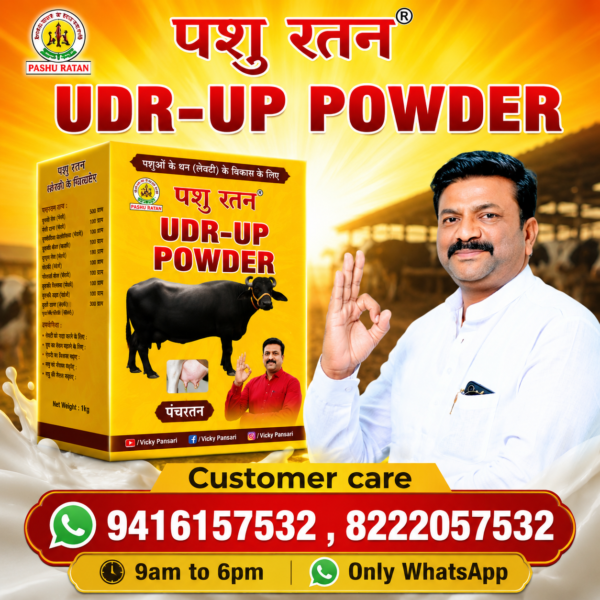 pashu ratan udr up powder | enhances udder growth & milk production in dairy animals