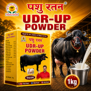 pashu ratan udr up powder | enhances udder growth & milk production in dairy animals