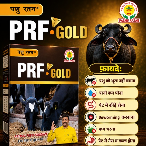 pashu ratan prf gold | helps in digestion & hajma for dairy animals