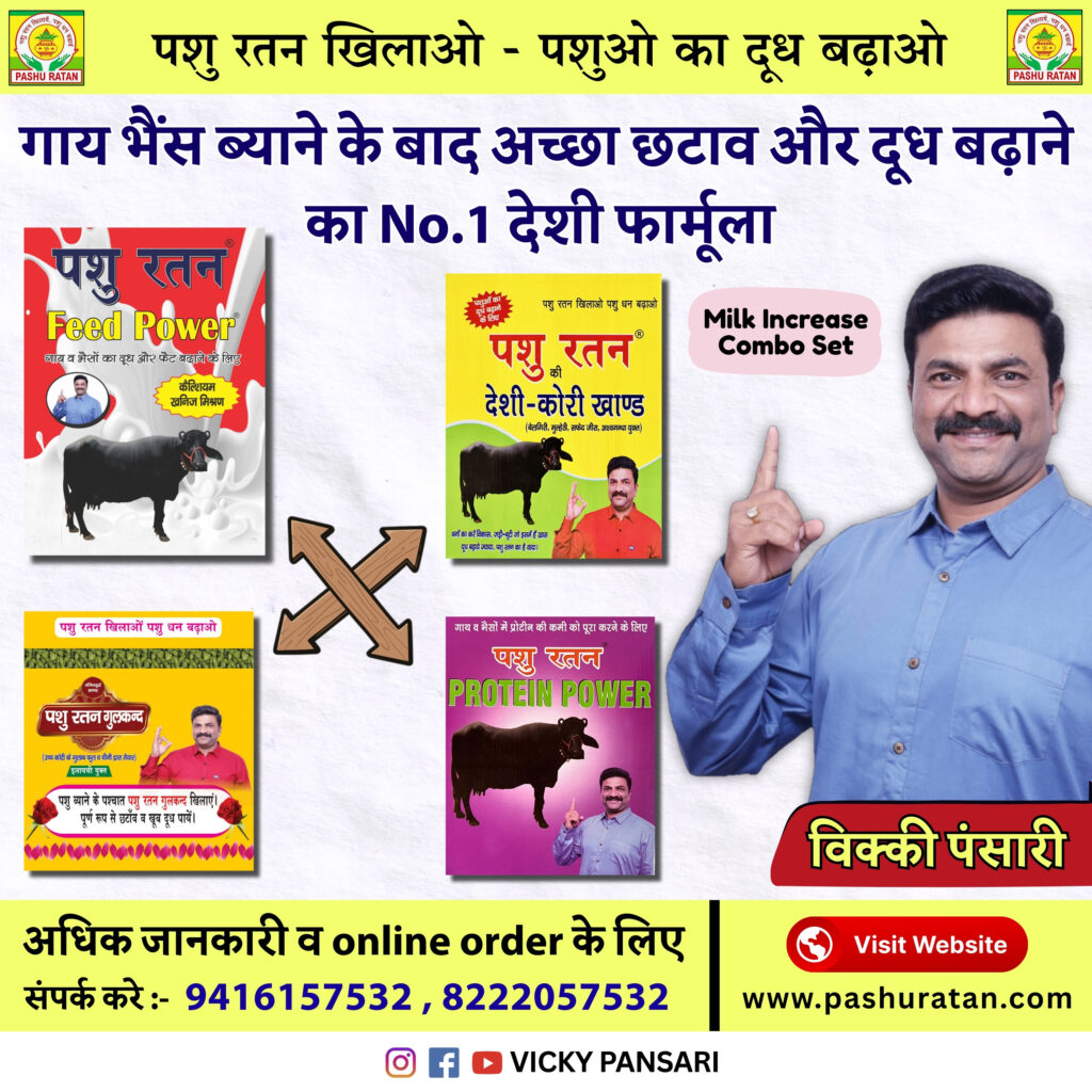 विक्की पंसारी (1) विक्की पंसारी (1)