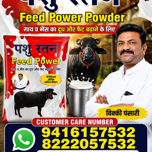 pashu ratan summer dairy power combo | 4kg desi kori khand + 1kg cool time powder for cows & buffaloes
