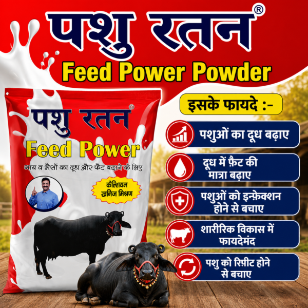 pashu ratan summer dairy power combo | 4kg desi kori khand + 1kg cool time powder for cows & buffaloes
