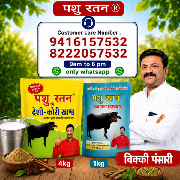 pashu ratan summer dairy power combo | 4kg desi kori khand + 1kg cool time powder for cows & buffaloes