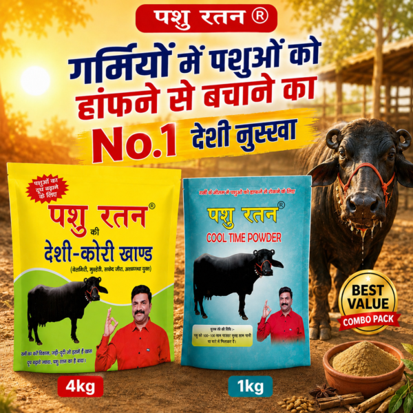 pashu ratan summer dairy power combo | 4kg desi kori khand + 1kg cool time powder for cows & buffaloes
